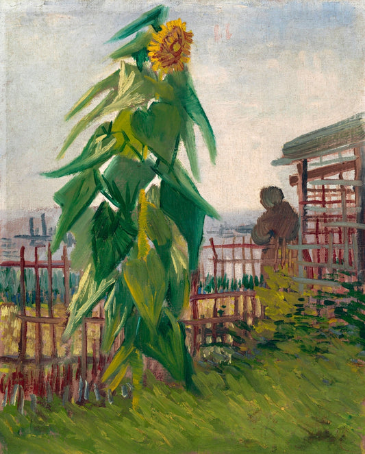 Allotment with Sunflower (1887) by Vincent van Gogh