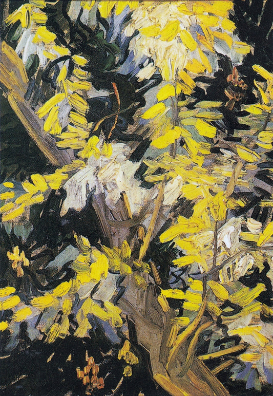 Blossoming Acacia Branches (1890) in Yellow by Vincent van Gogh