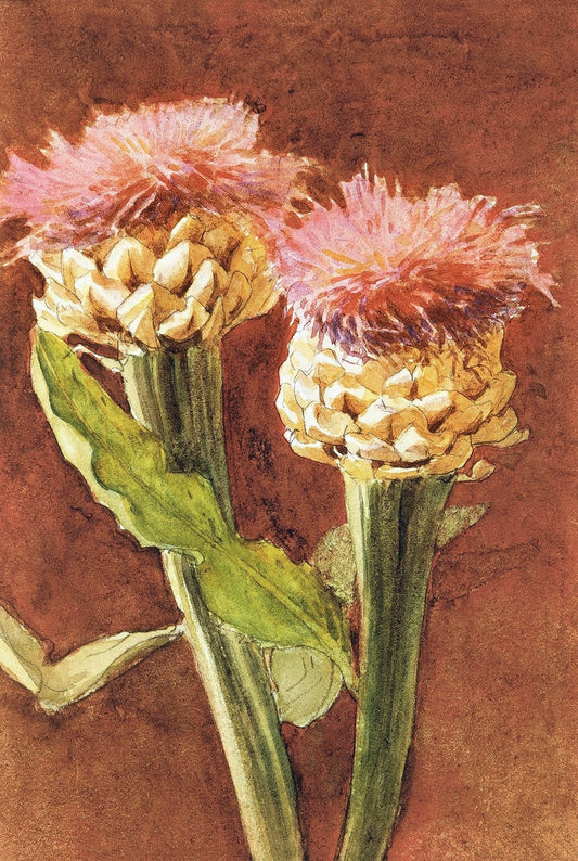 Thistle (ca.1870–1872) by John Singer Sargent