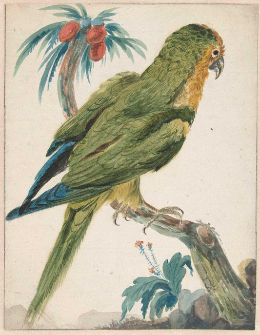 Bird by Jan Weenix 1650