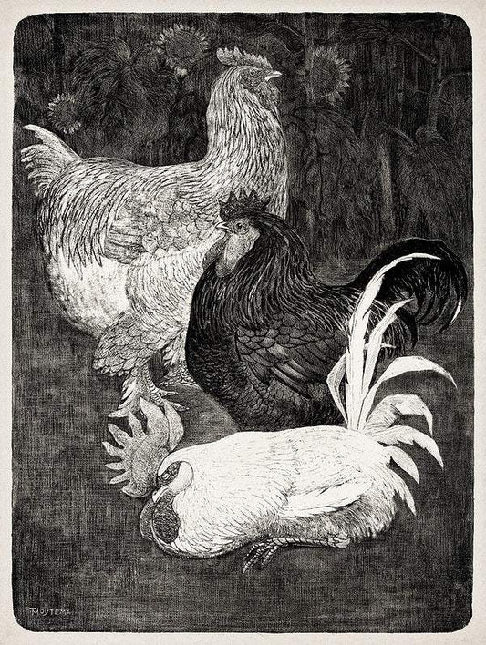 Drie hanen (1898) print in high resolution by Theo van Hoytema