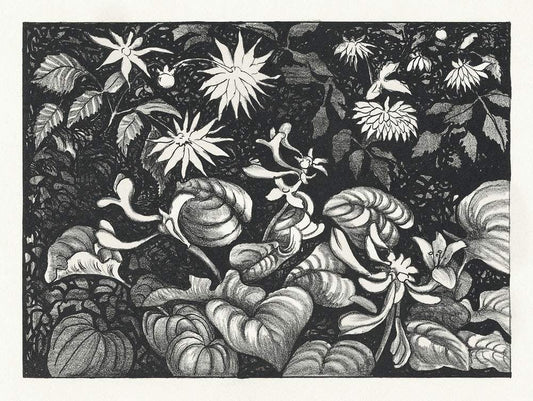 Wilde planten en bloemen (1878–1917) print in high resolution by Theo van Hoytema
