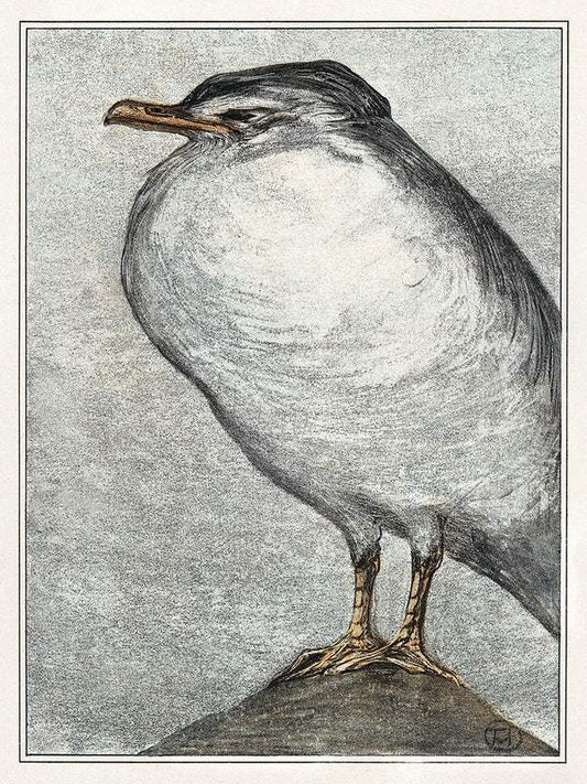 Zilvermeeuw (1878–1908) print in high resolution by Theo van Hoytema