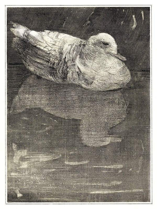 Drijvende eend (1878–1909) print in high resolution by Theo van Hoytema