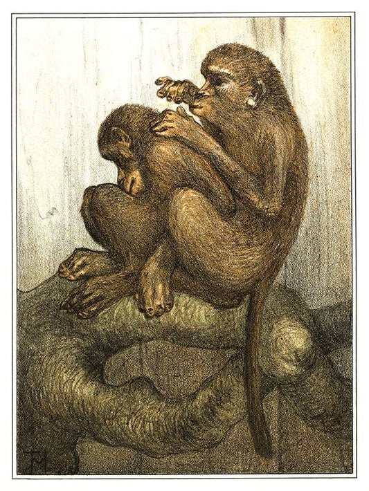 Vlooiende apen (1878–1910) print in high resolution by Theo van Hoytema
