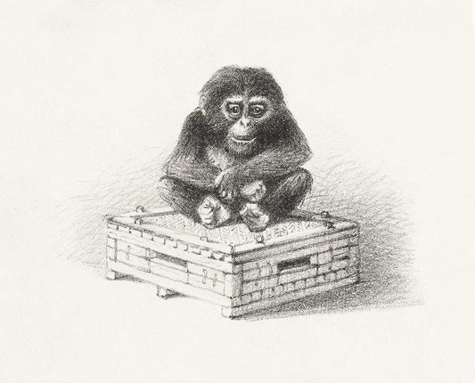 Zittende aap op kist (1878–1890) print in high resolution by Theo van Hoytema