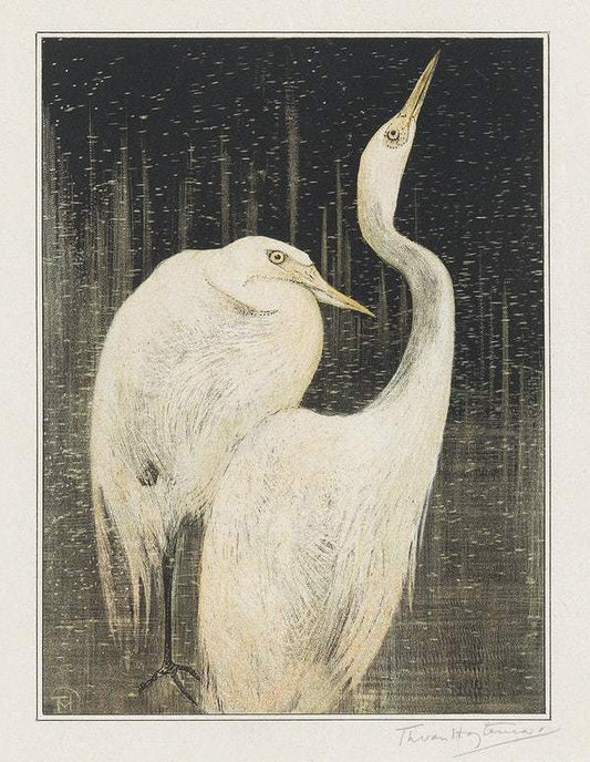 Twee zilverreigers (1878–1905) print in high resolution by Theo van Hoytema