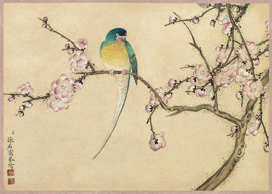 Bird with Plum Blossoms (18th Century) by Zhang Ruoai