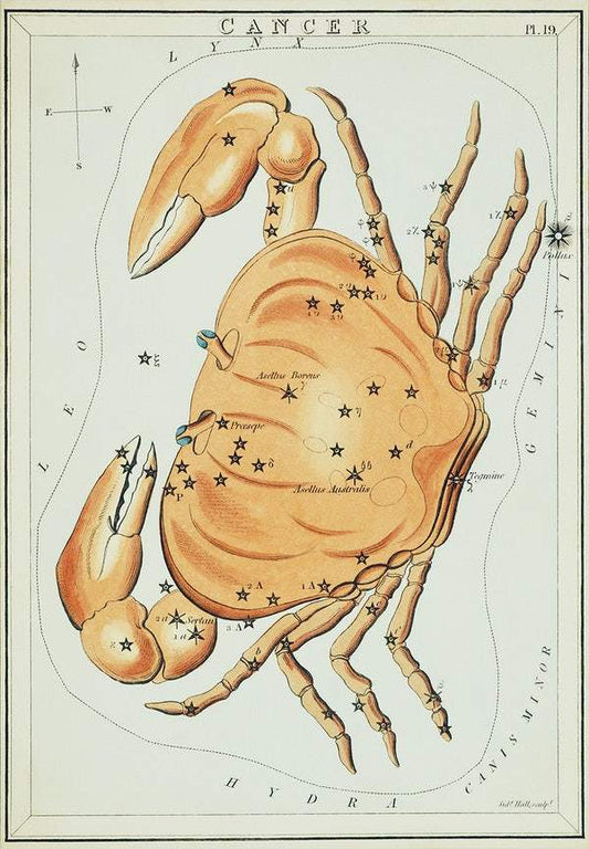 Cancer constellation Zodiac (1831)