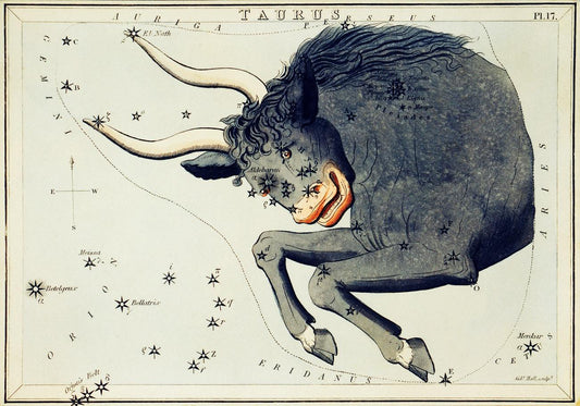 Sidney Hall’s (?-1831) astronomical chart illustration of the Taurus