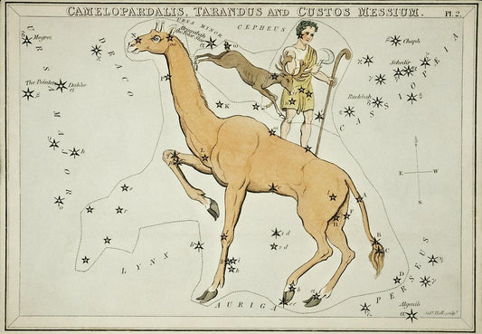 Sidney Hall’s (1831) astronomical chart illustration of the Camelopardalis, et al