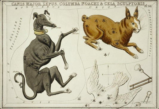 Sidney Hall’s (1831) astronomical chart illustration of the Canis Major, Lepus, et al
