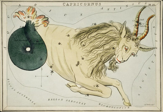 Sidney Hall’s (1831) astronomical chart illustration of the zodiac Capricornus