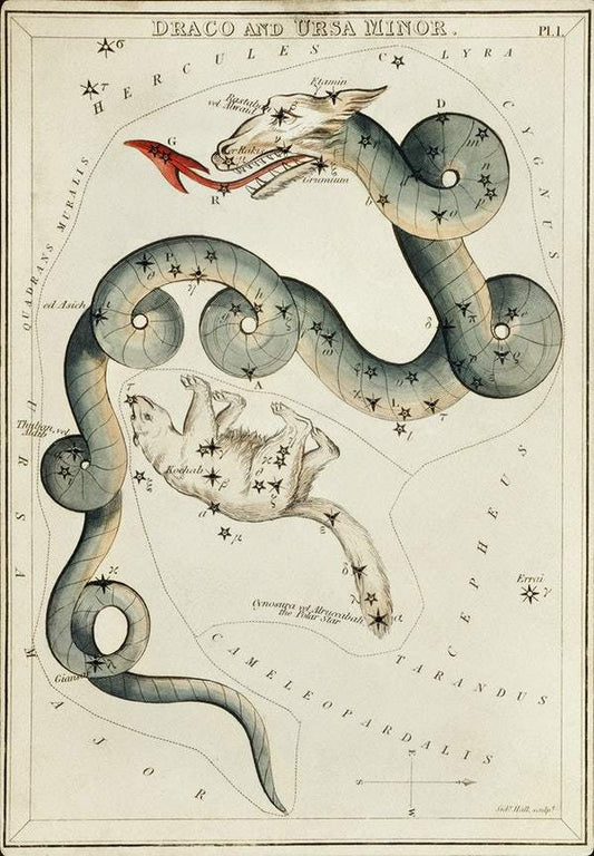 Sidney Hall’s (1831) astronomical chart illustration of the Draco and the Ursa Minor