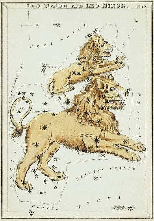 Sidney Hall’s (1831) astronomical chart illustration of the Leo Major and the Leo Minor