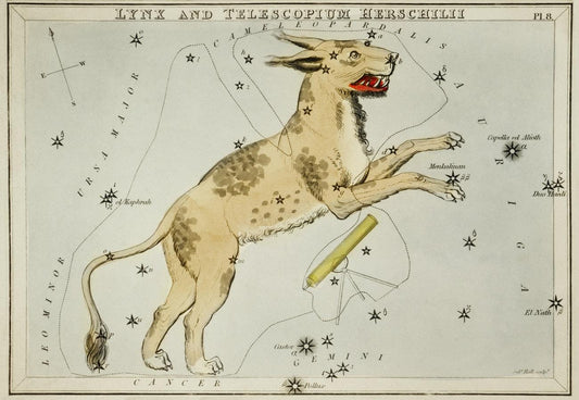Sidney Hall’s (1831) astronomical chart illustration of Lynx, et al