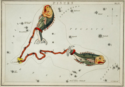 Sidney Hall’s (1831) astronomical chart illustration of the Pisces