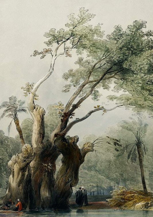 The holy tree of Metereah by David Roberts (1796-1864)