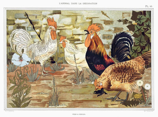 Chickens (1897) illustrated by Maurice Pillard Verneui
