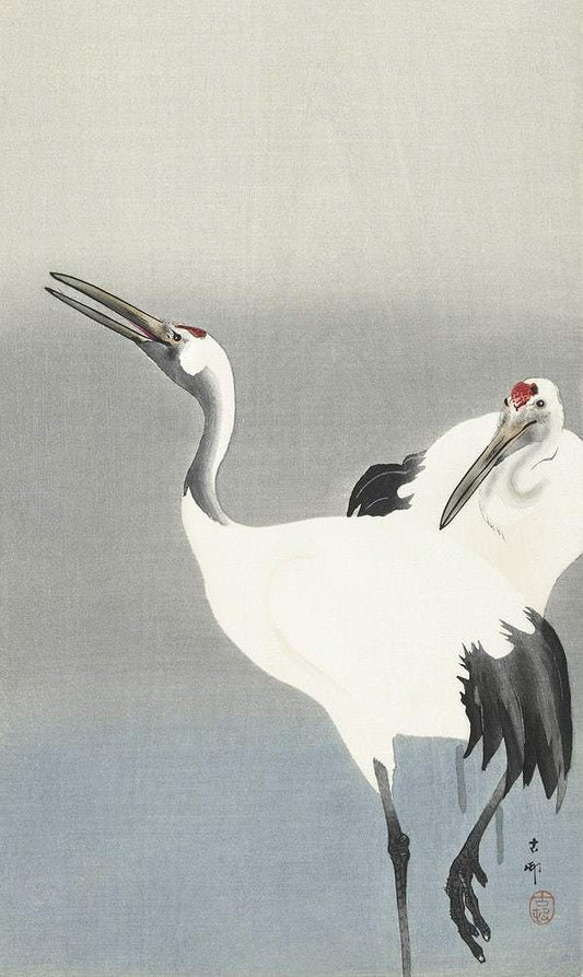 Two cranes (1900-1930) by Ohara Koson