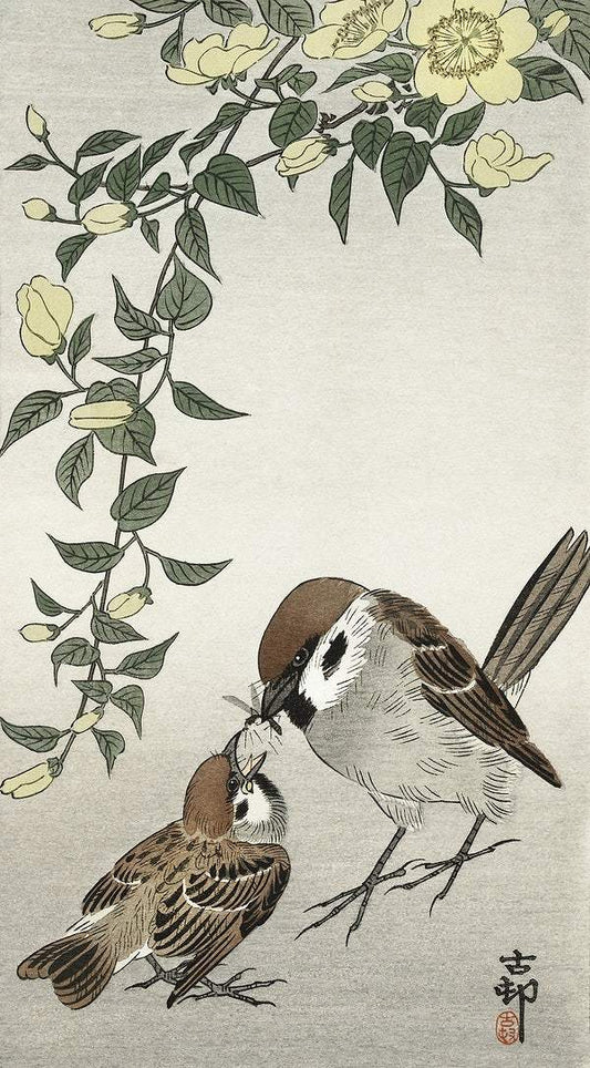 Birds and plants (1900 - 1936) by Ohara Koson