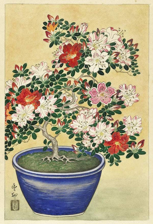 Blooming azalea in blue pot (1920 - 1930) by Ohara Koson