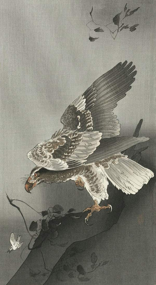 A Eagle lurking at a prey (1877-1930) by Ohara Koson