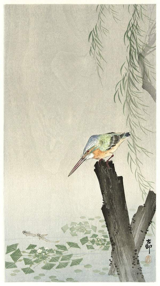 A Kingfisher on a tree stump (1900-1936) by Ohara Koson