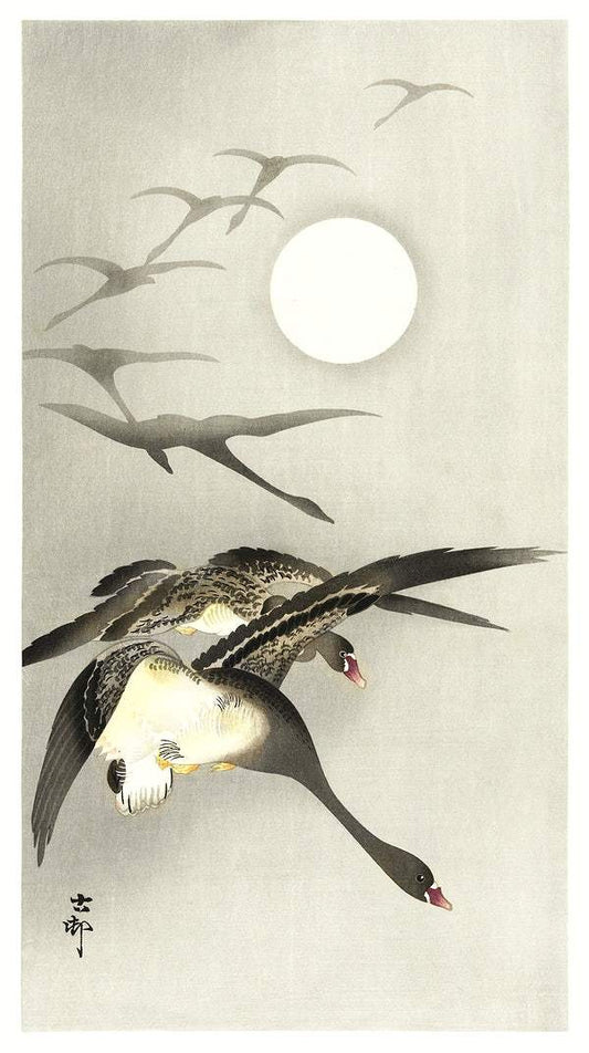 A Geese at full moon (1930 - 1945) by Ohara Koson