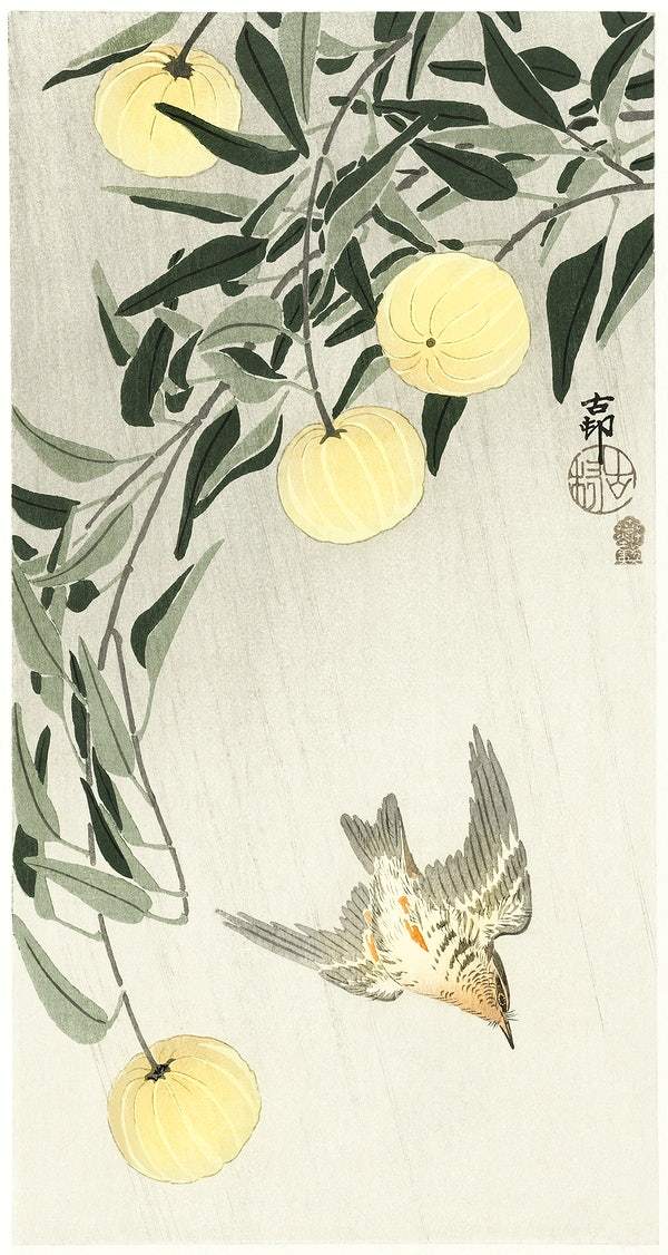 A Cuckoo in the rain (1900 - 1910) by Ohara Koson