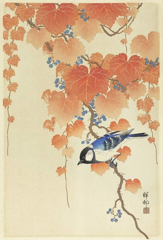 A Great tit on paulownia branch (1925 - 1936) by Ohara Koson