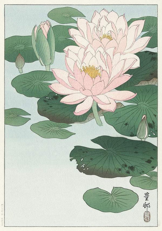 Water Lily (1920 - 1930) by Ohara Koson