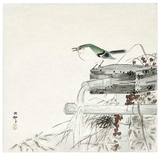 Blue nightingale (1900 - 1930) by Ohara Koson