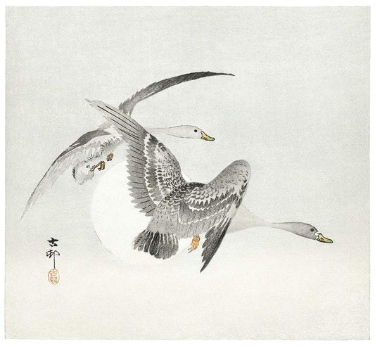 Two colt geese in flight (1900 - 1930) by Ohara Koson