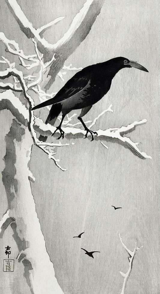A Crow on snowy tree branch (1900 - 1936) by Ohara Koson