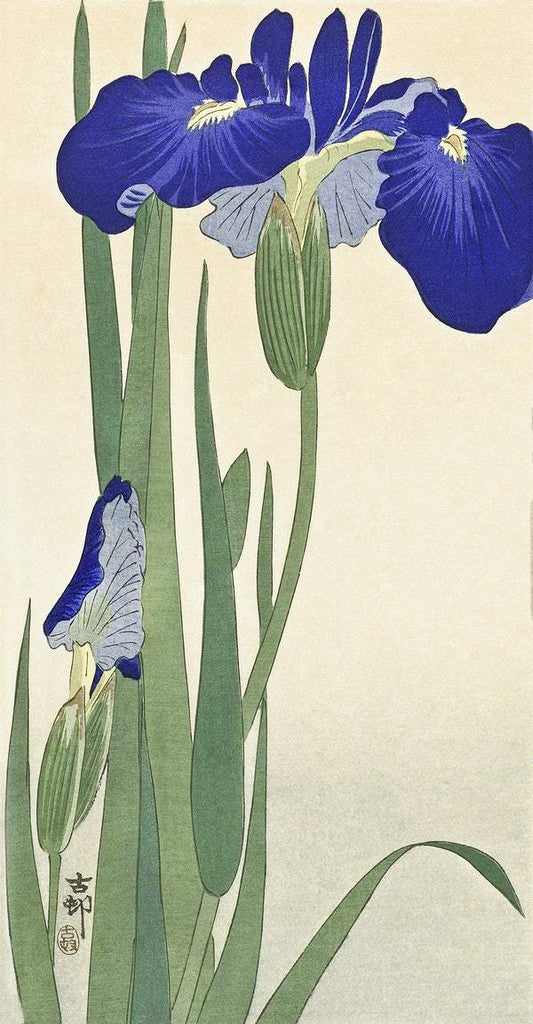 Blue Irises (1900 - 1930) by Ohara Koson