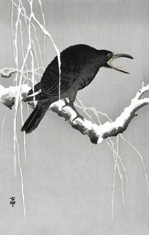 A Crow on snowy tree branch (1900 - 1945) by Ohara Koson