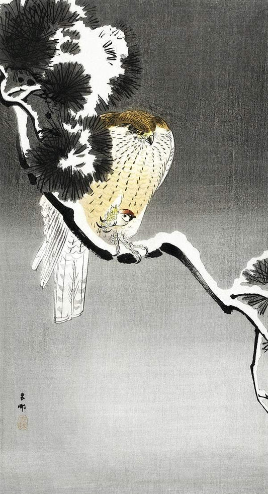 A Hawk with sparrow (1900 - 1930) by Ohara Koson