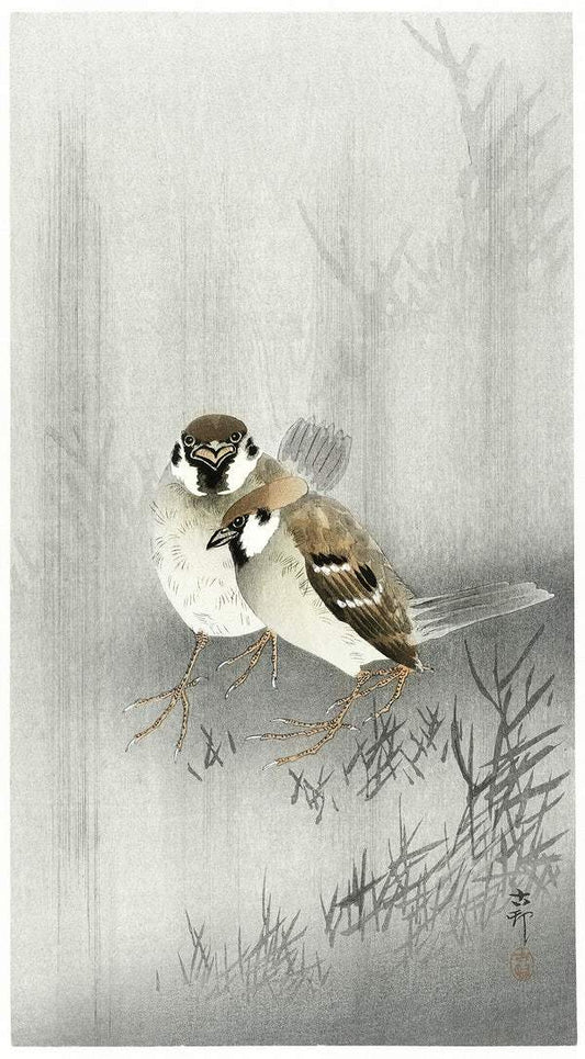 A Two ring sparrows in the rain (1900 - 1930) by Ohara Koson
