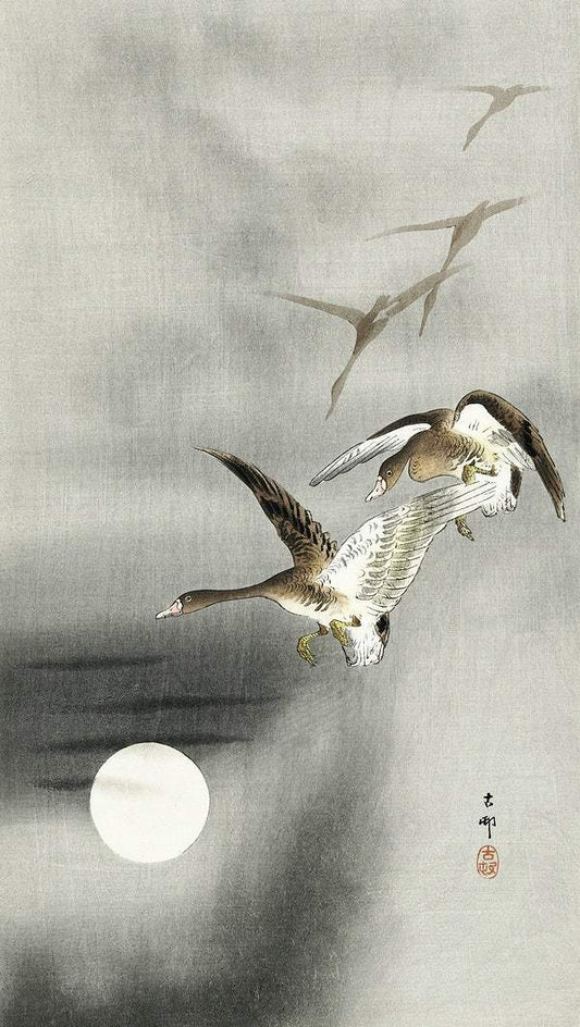 A Geese in flight (1900 - 1930) by Ohara Koson