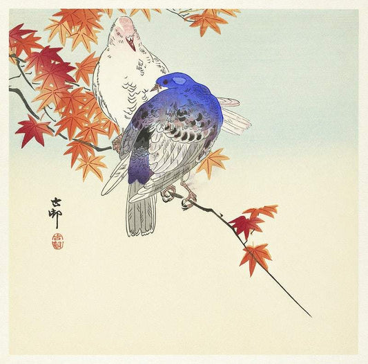 Two pigeons on autumn branch (1900 - 1936) by Ohara Koson