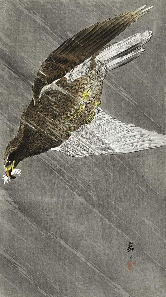 A Downward flying eagle (1900 - 1930) by Ohara Koson