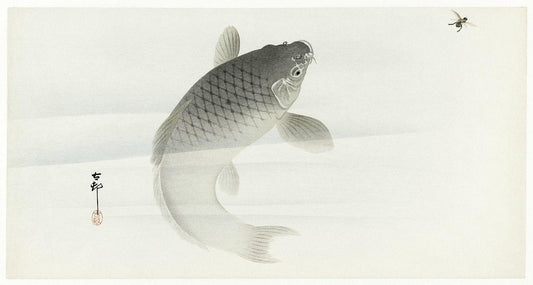 Carp and fly (1900 - 1930) by Ohara Koson