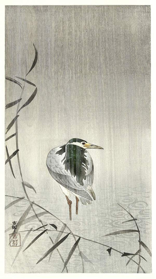 A Kwak in rain (1900 - 1936) by Ohara Koson