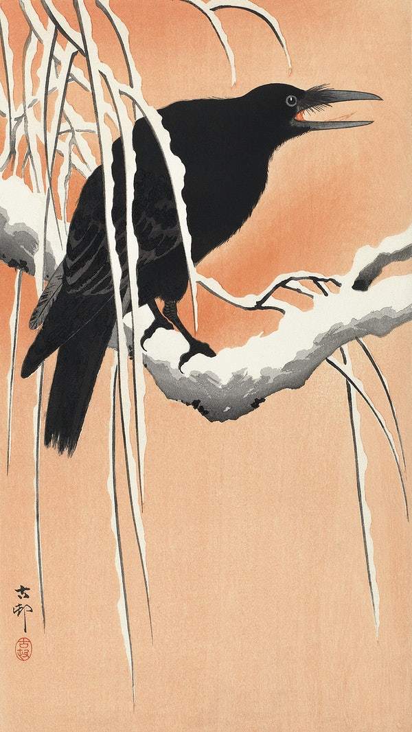 A Crow on snowy branch (1900 - 1930) by Ohara Koson