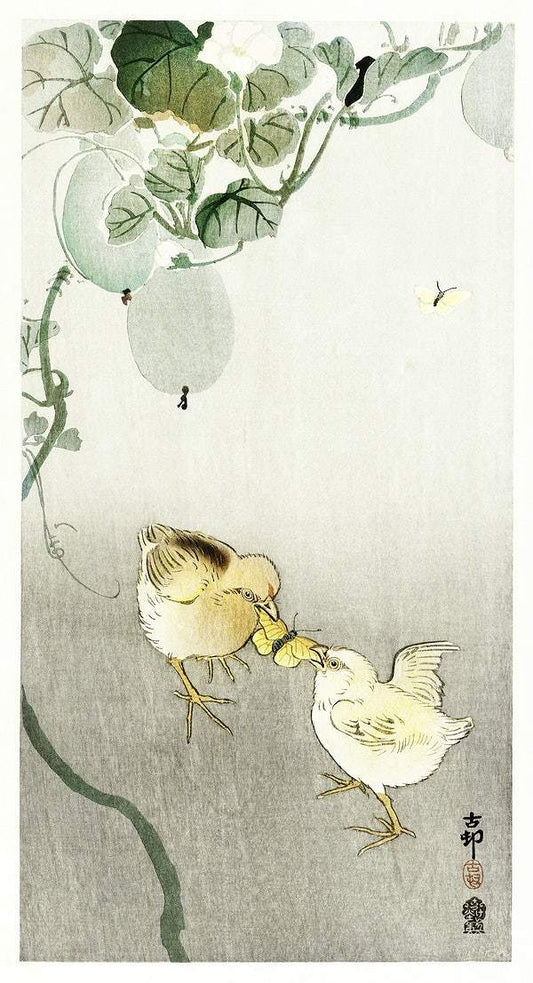 Two chicks fighting for a butterfly (1900 - 1910) by Ohara Koson