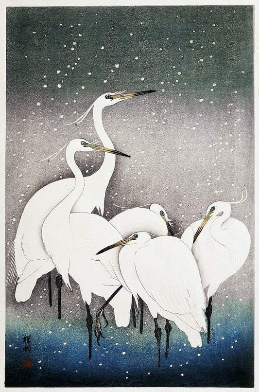 Group of Egrets (1925 - 1936) by Ohara Koson