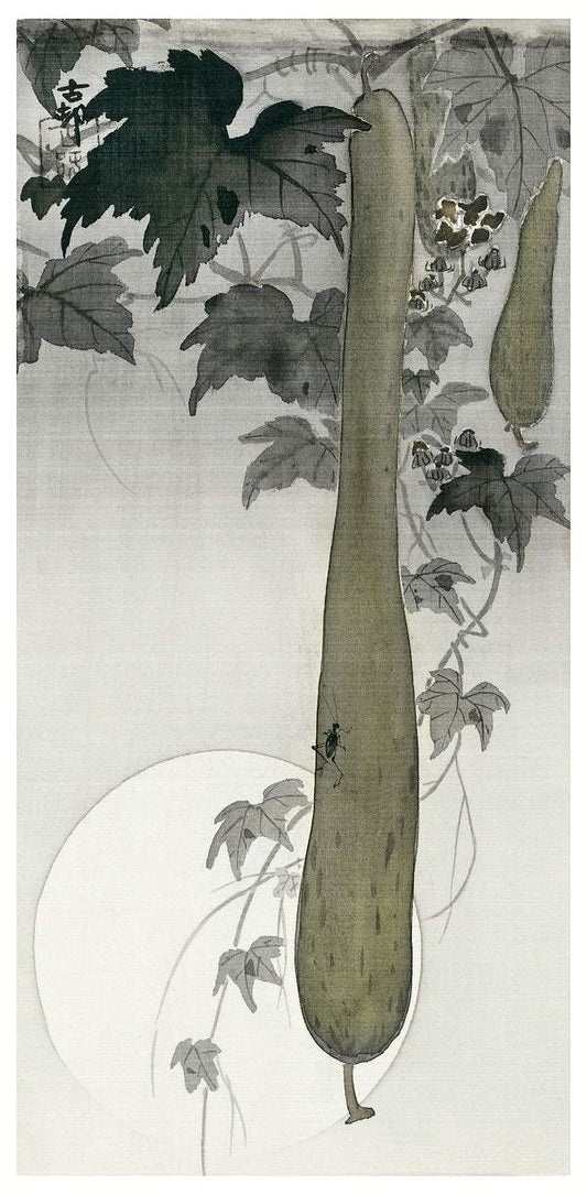 Wild cucumber and a full moon (1877-1945) by Ohara Koson