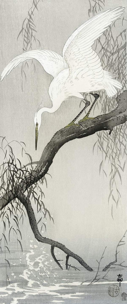 White heron on tree branch (1900 - 1910) by Ohara Koson