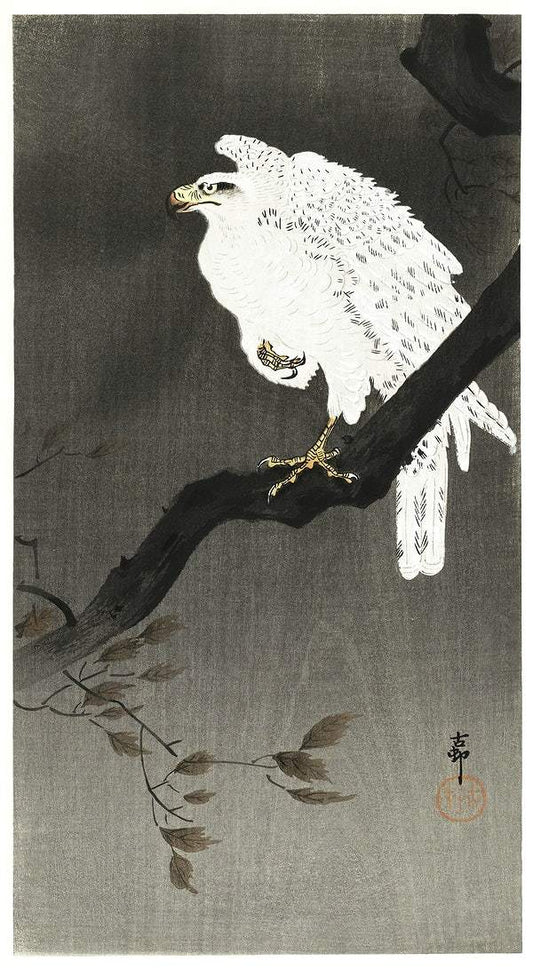 A Snowy eagle on a tree branch (1910 - 1930) by Ohara Koson